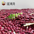 China Manufacturer Wholesale dark red kidney bean price